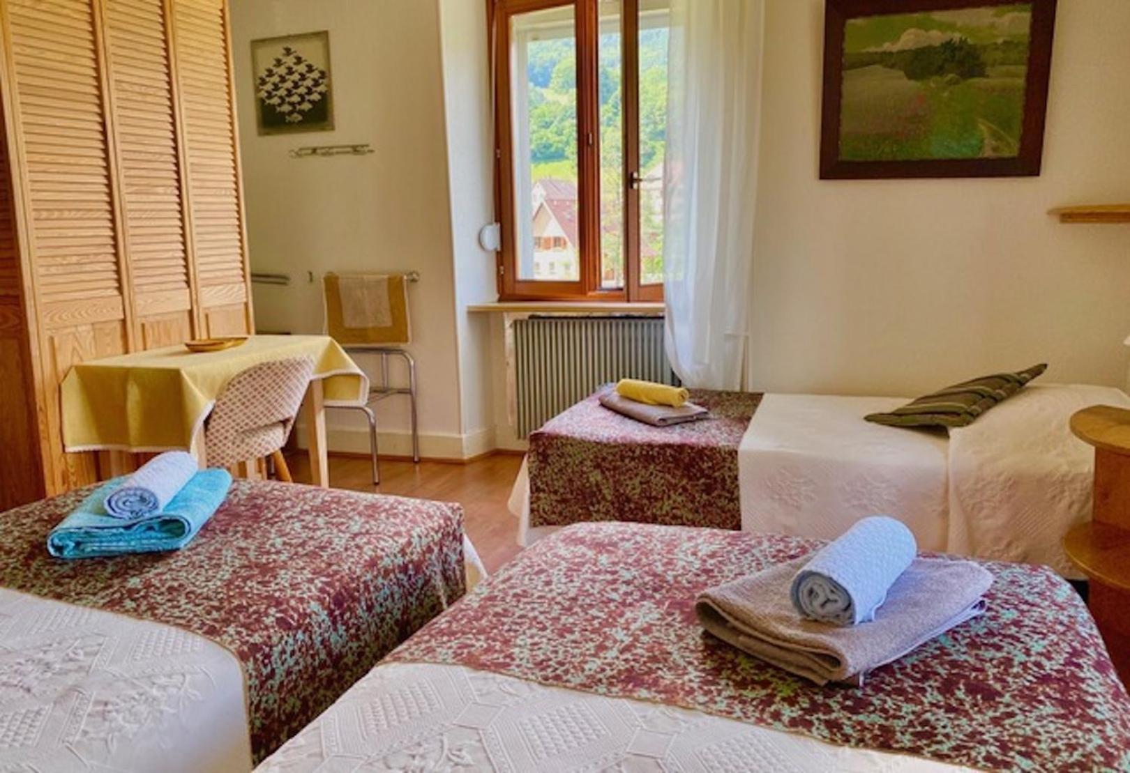 Appartements Maison Bellevue مونستر المظهر الخارجي الصورة